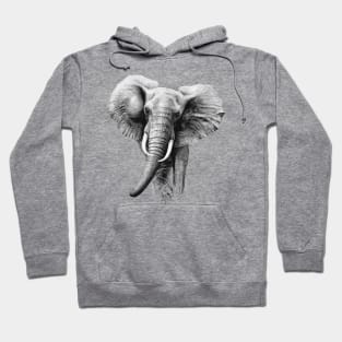 Elephant Hoodie